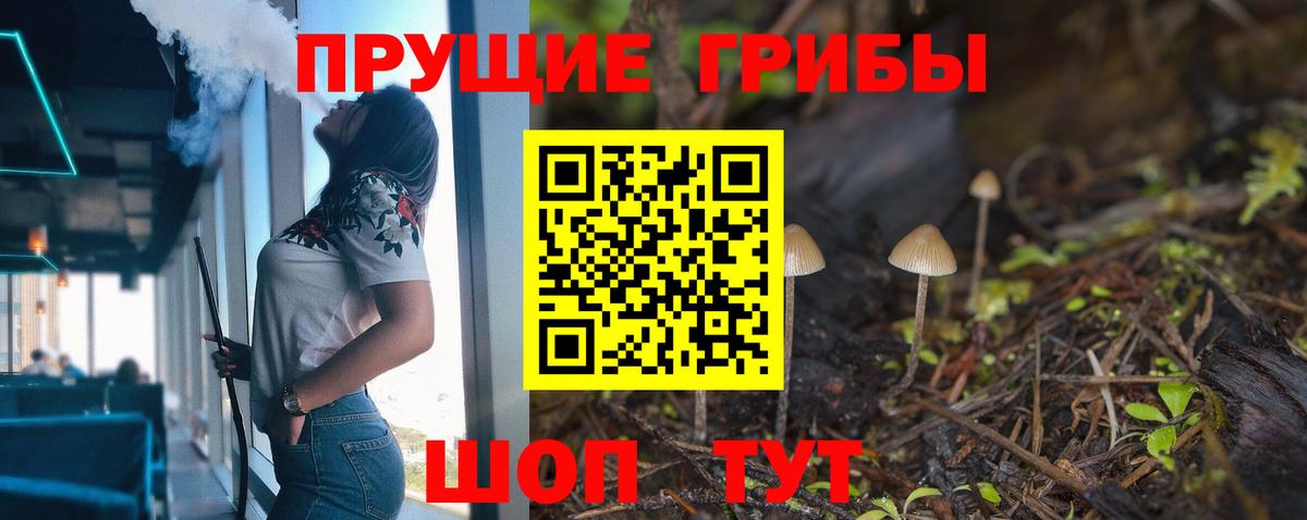 Зеленогорск  Псилоцибиновые грибы Cubensis  Вход с VPN 